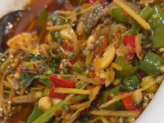 -院8里·少城记忆老川菜(宽窄巷子店)