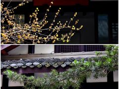 -成都杜甫草堂博物馆