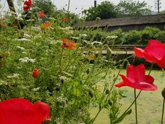 -驿舍·民國老营房院子私房菜(科学会堂店)