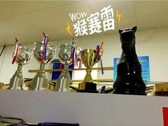 -佰德观岚记羽毛球馆