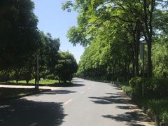 -浙江农林大学(东湖校区)