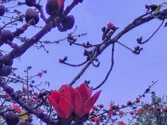 -广州中山纪念堂