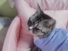 -美联众合24小时·皮肤科·外科·全科诊疗中心(华苑分院)