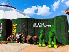 -中国马镇舞马世界主题乐园