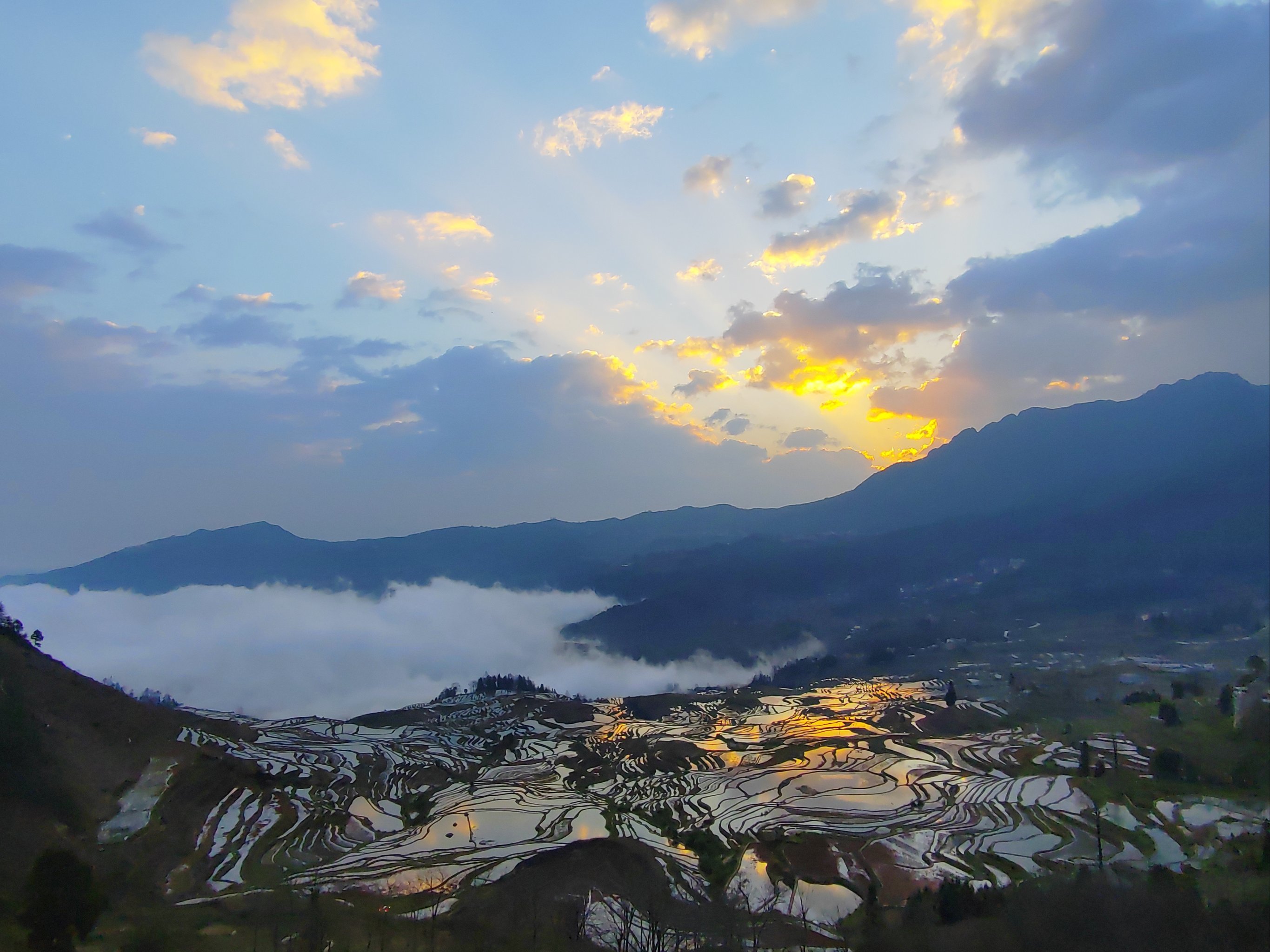 云南红河哈尼的元阳梯田,中国最美最大的梯