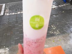 -树夏(建设路店)