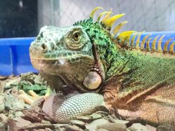 -Zoolung Zoolung动物主题公园(海信广场店)