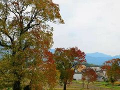 -塔川景区