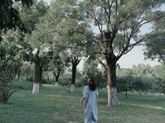 -Supine Bistro溯泮餐厅