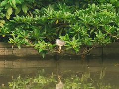-广州雕塑公园