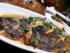 -郑庄脂渣海鲜楼(九水路店)