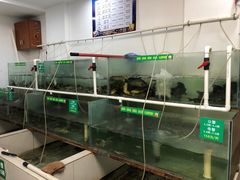 -七的湖·晚芳亭·阳澄湖农家菜·大闸蟹(莲花岛店)