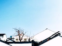 -橘酱餐厅