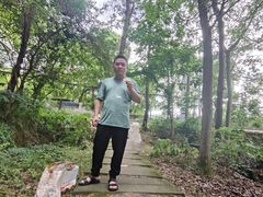 -铁山坪森林公园