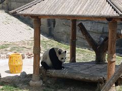 -辛玛王国游乐园