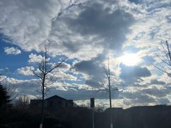 -棒棰岛宾馆景区