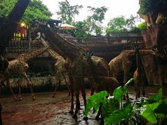 -长鹿旅游休博园