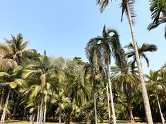 -中国科学院西双版纳热带植物园