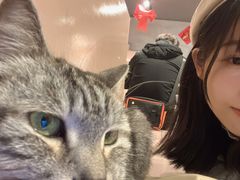-猫儿山۰猫主题餐厅