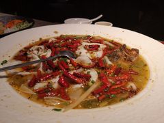 -九毛九西北菜(百信广场店)
