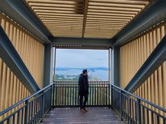 -千岛湖天屿景区