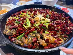 -老板恋上鱼(高新万达店)