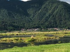 景点-腾冲北海湿地