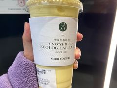 -茉酸奶(春熙路店)