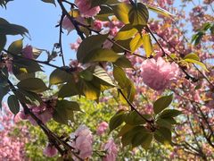 -幕燕滨江·燕子矶公园