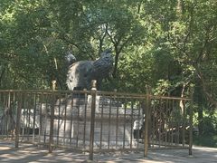 -北京动物园-畅观楼