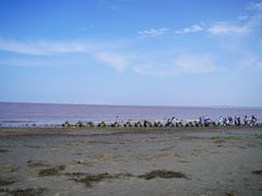 -南汇嘴观海公园