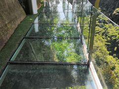 -川西竹海景区