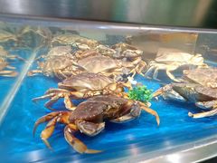 -盒马鲜生(莱蒙都会店)