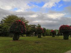 -荔香公园