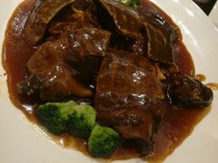 -北京园博大酒店