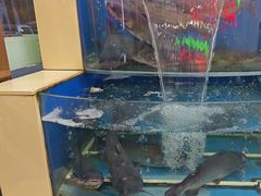 -屯老二农家铁锅炖·行业领军者(梅江店)