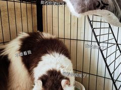 -北京群众马术培训基地