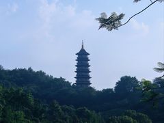 -重庆园博园