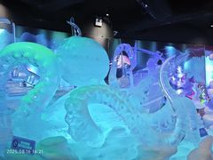-海合安成都极地海洋公园
