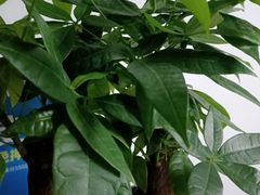-静沐人生养生馆(佳宁娜分店)