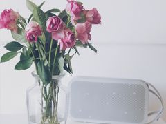 -双季花艺园艺市场(浦东店)