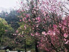 -常德桃花源景区