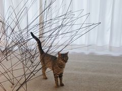 -胶囊画廊