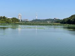 -月湖风景区