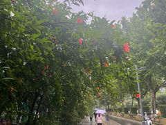 -宁夏国强手抓羊肉·清真菜(未央路凤三店)