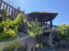 -呀路古热带植物园