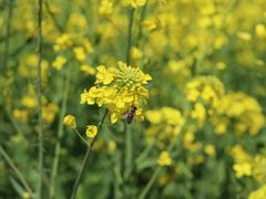 -杭州城北体育公园