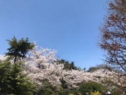 -Y.F 美妆美体工作室