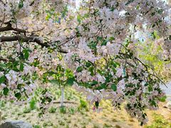 -元大都城垣遗址公园