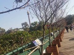 -观澜湖生态运动公社